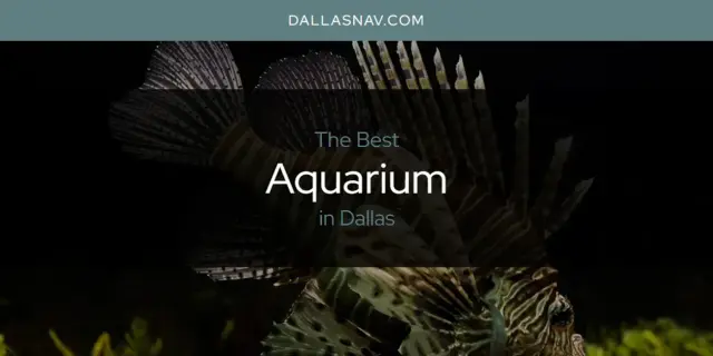The Absolute Best Aquarium in Dallas  [Updated 2024]