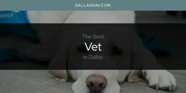 Dallas' Best Vet [Updated 2024]