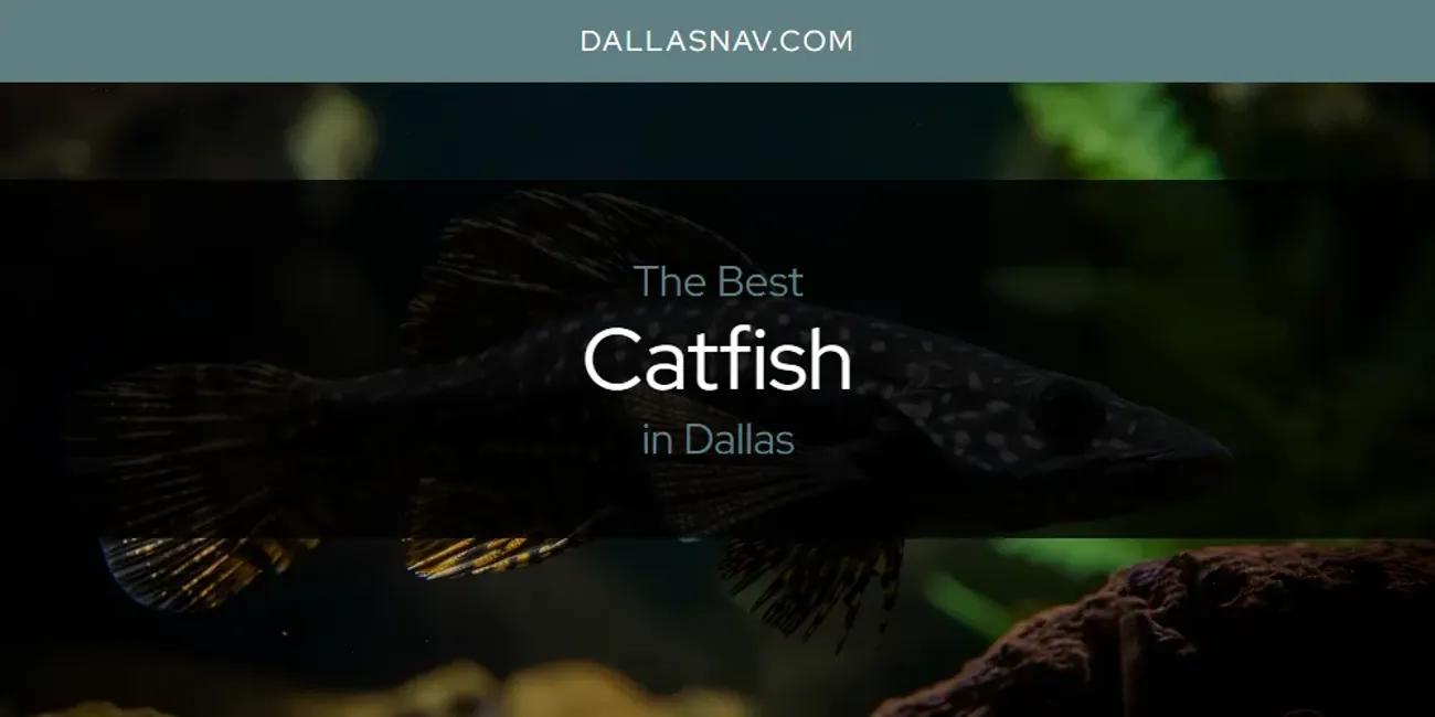 The Absolute Best Catfish in Dallas  [Updated 2024]