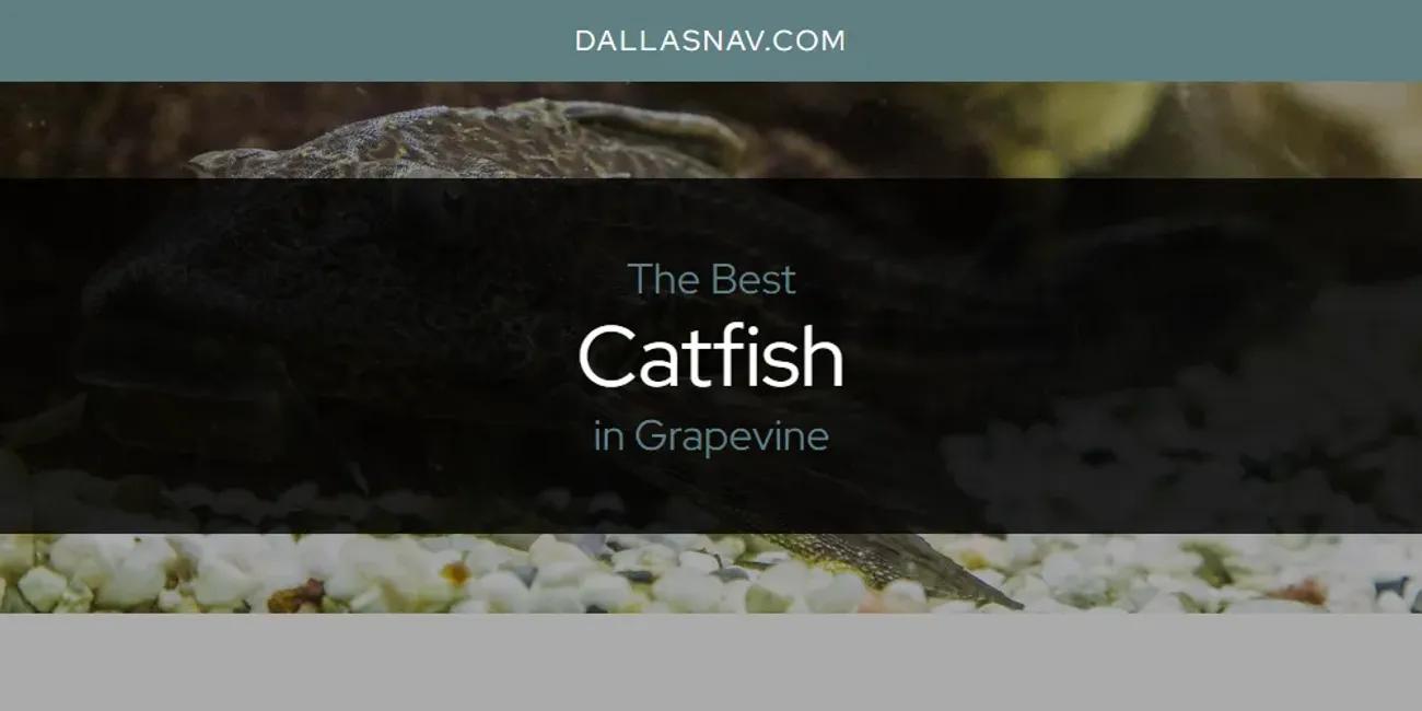 The Absolute Best Catfish in Grapevine  [Updated 2025]