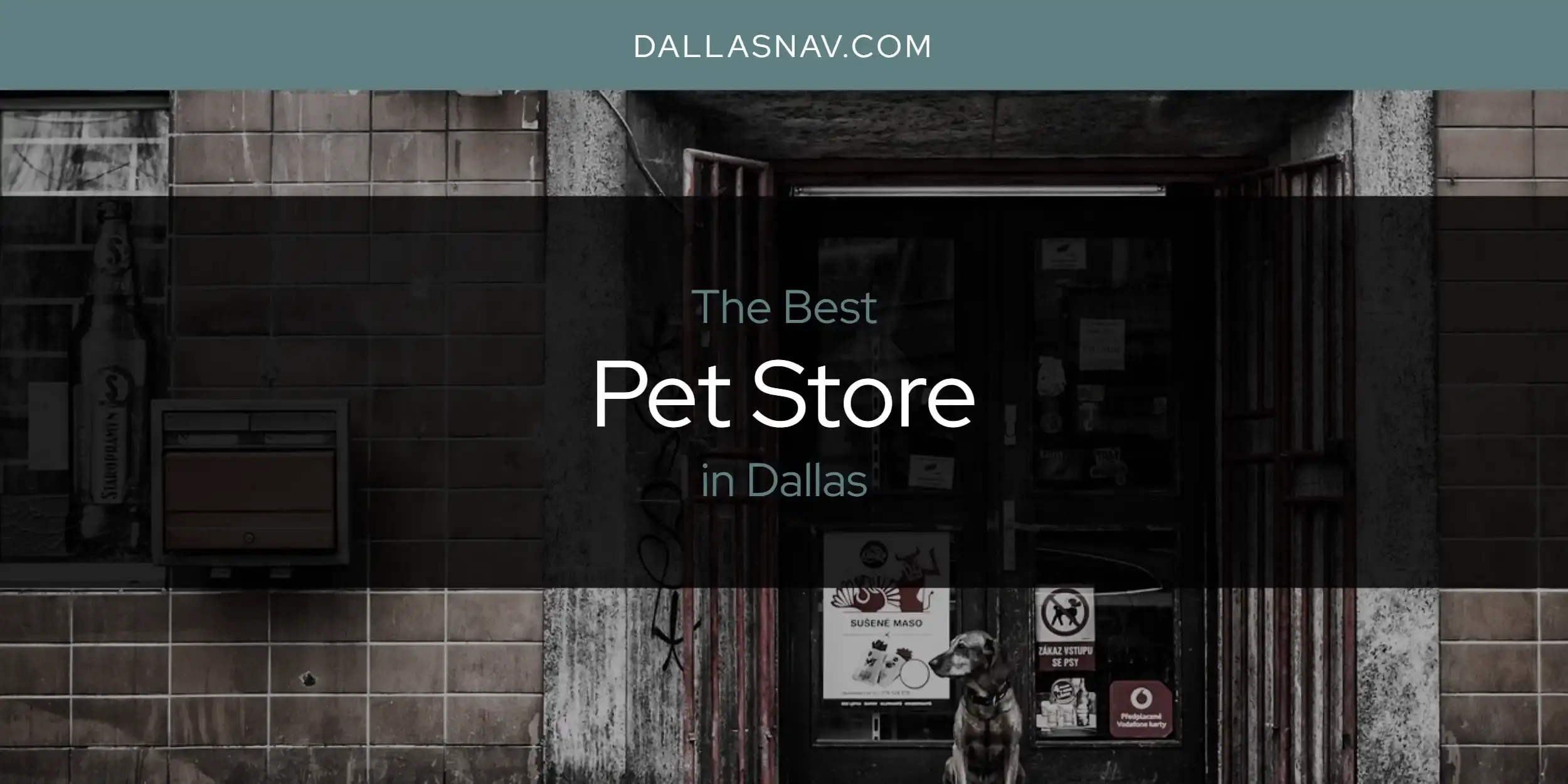Dallas' Best Pet Store [Updated 2024]
