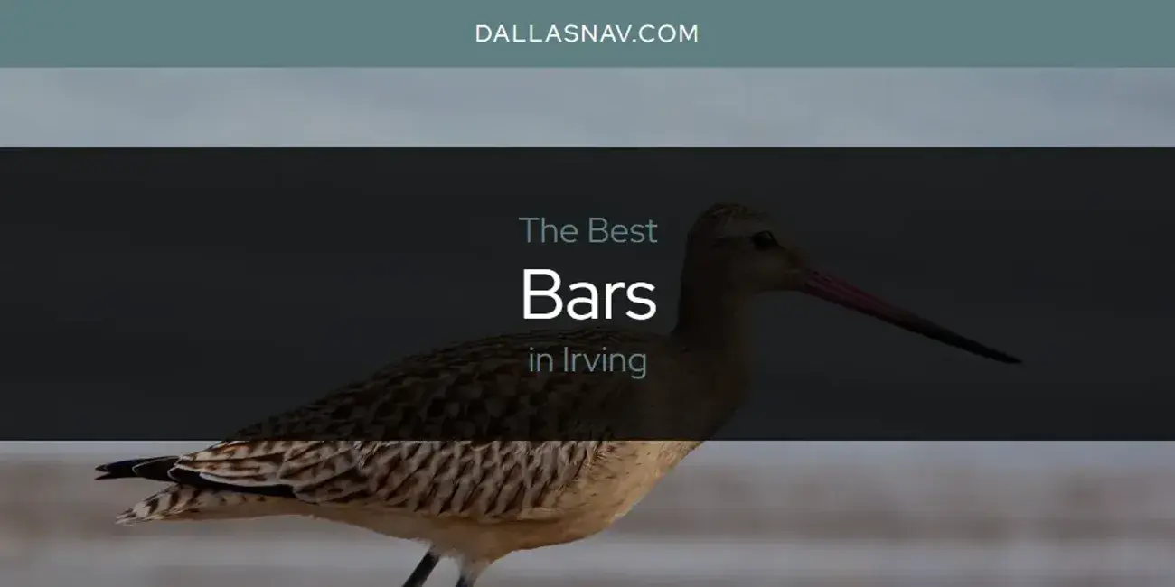 The Absolute Best Bars in Irving  [Updated 2024]