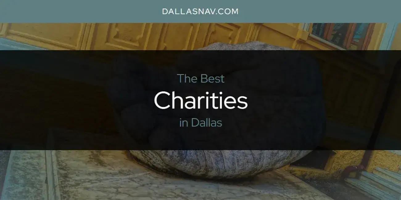 The Absolute Best Charities in Dallas  [Updated 2024]