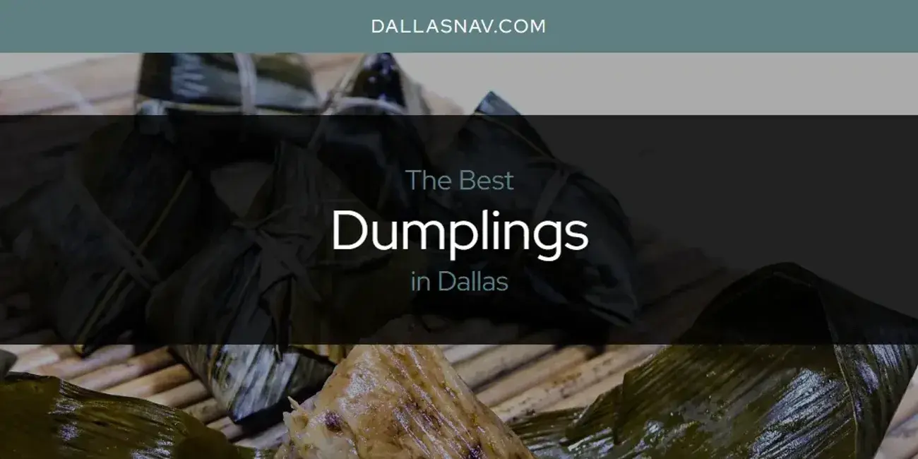 The Absolute Best Dumplings in Dallas  [Updated 2024]