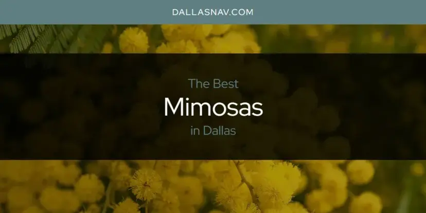 Dallas' Best Mimosas [Updated 2024]