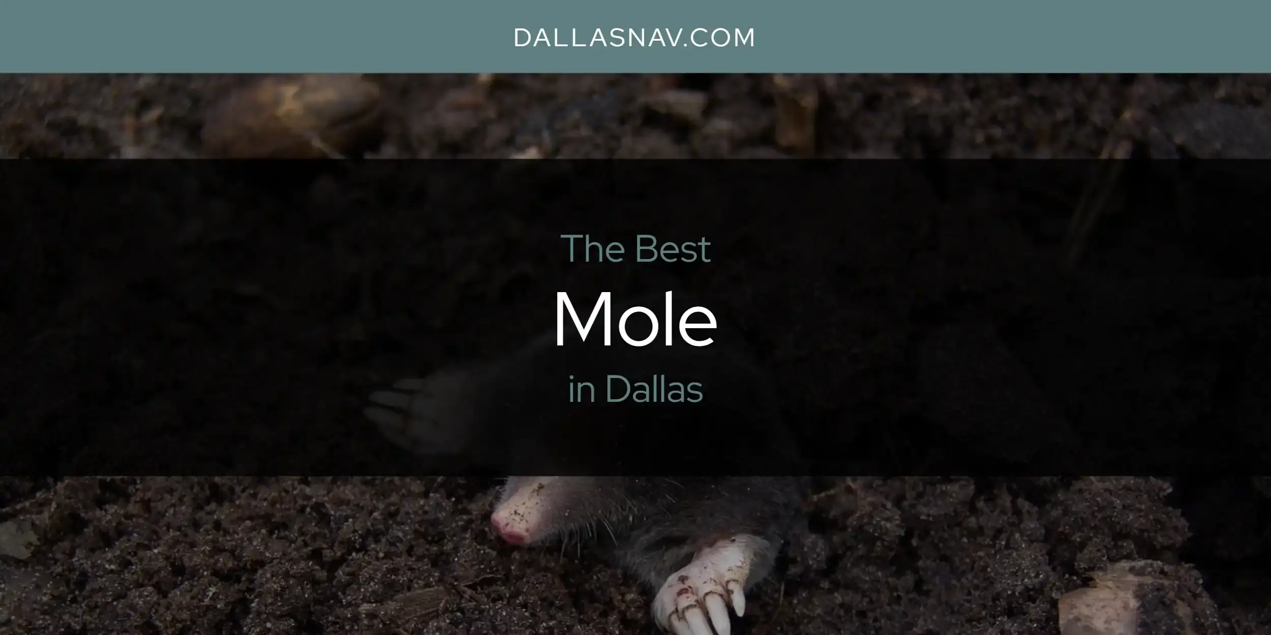The Best Mole in Dallas [Updated 2023]