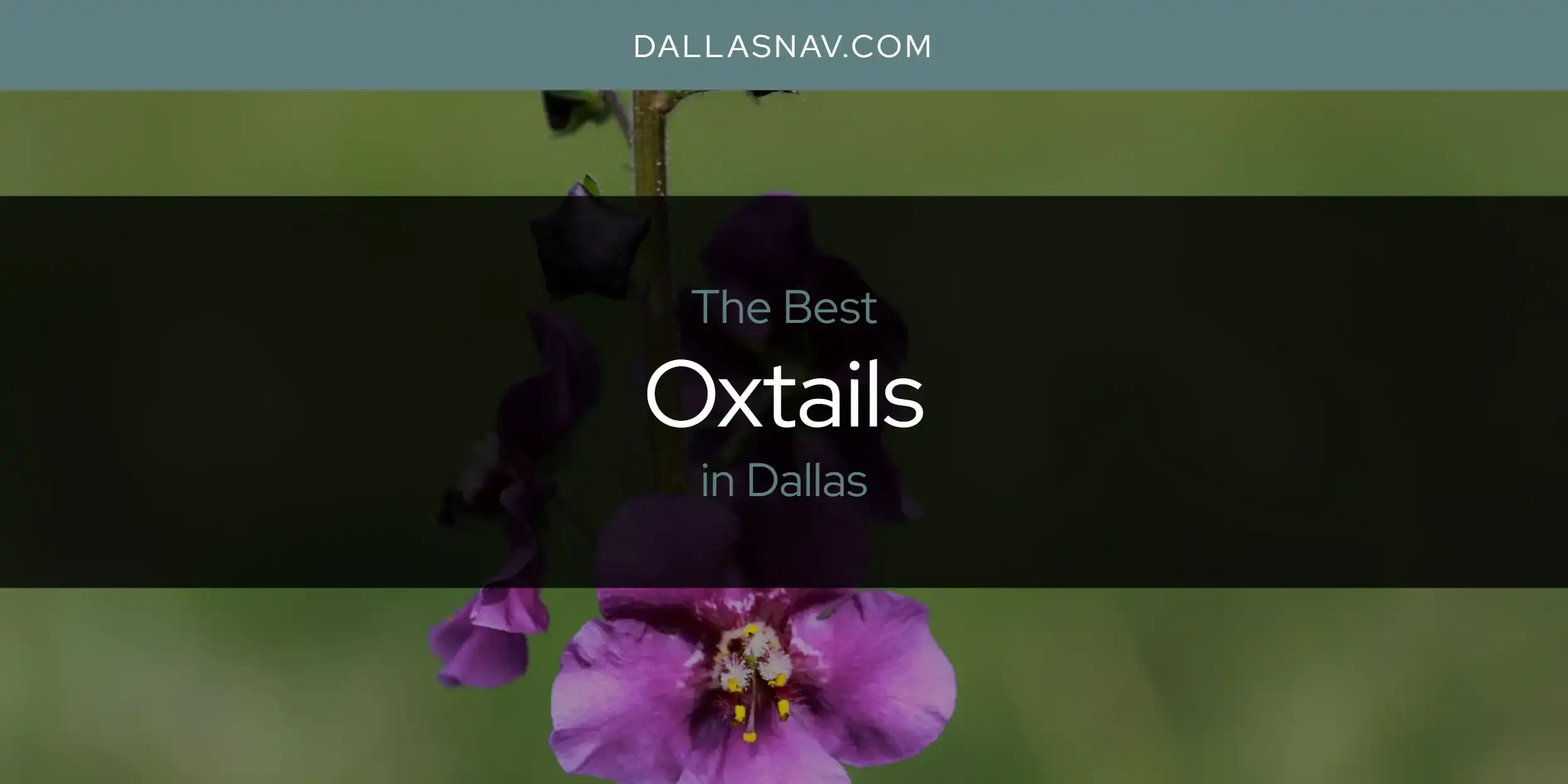 The Best Oxtails in Dallas [Updated 2023]