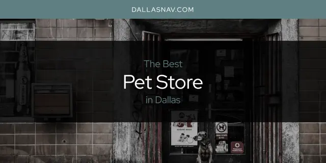The Best Pet Store in Dallas [Updated 2023]