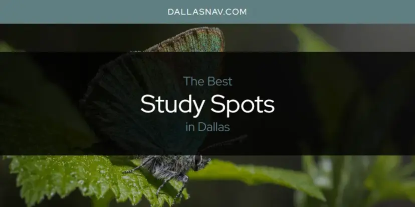 Dallas' Best Study Spots [Updated 2024]