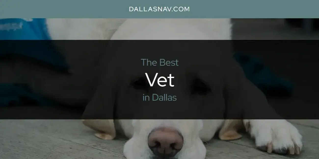 Dallas' Best Vet [Updated 2024]