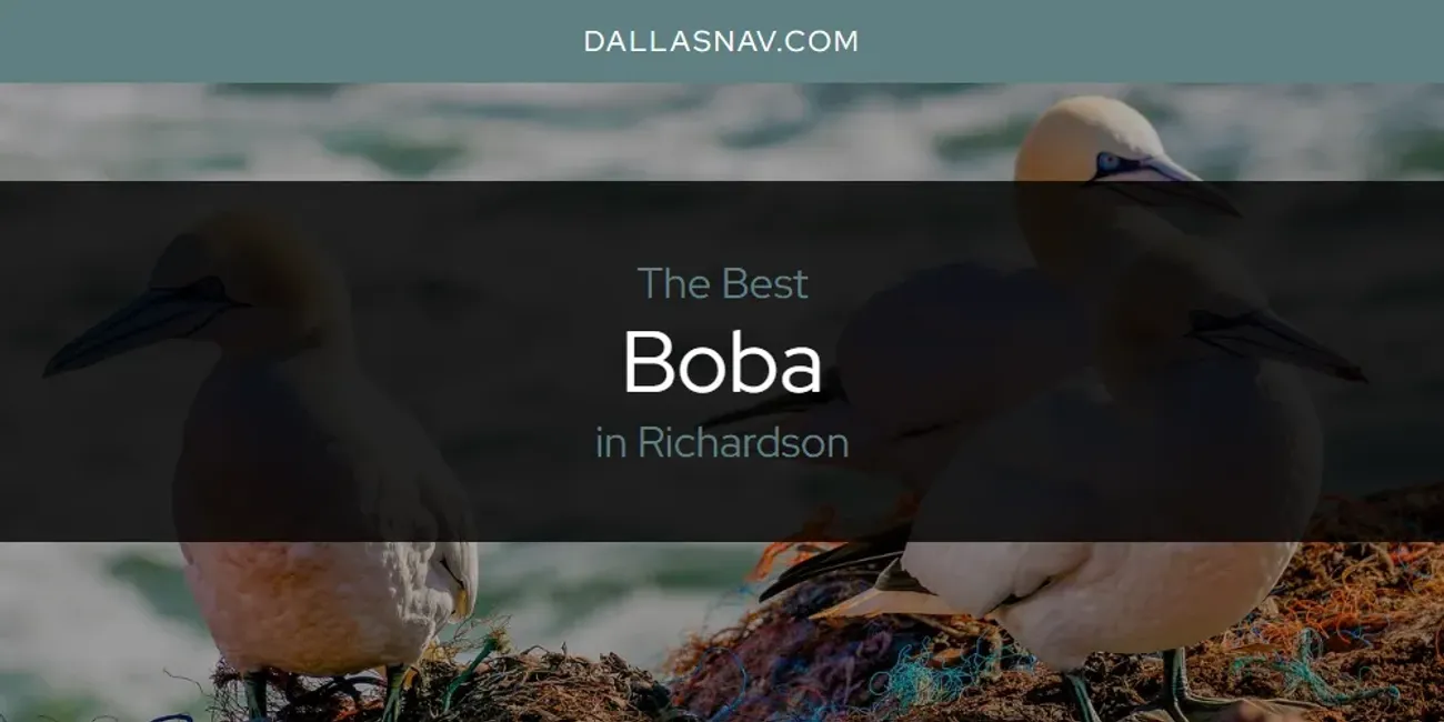 Richardson's Best Boba [Updated 2025]
