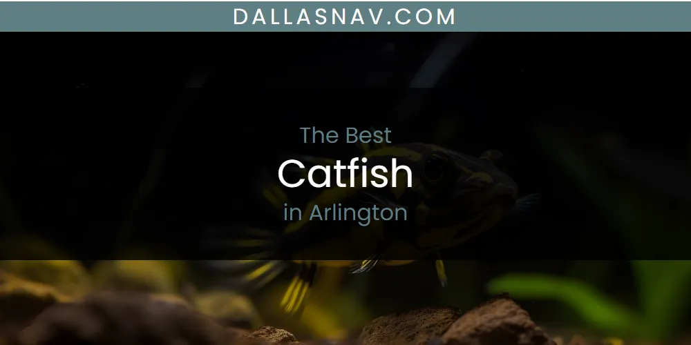 The Absolute Best Catfish in Arlington  [Updated 2025]