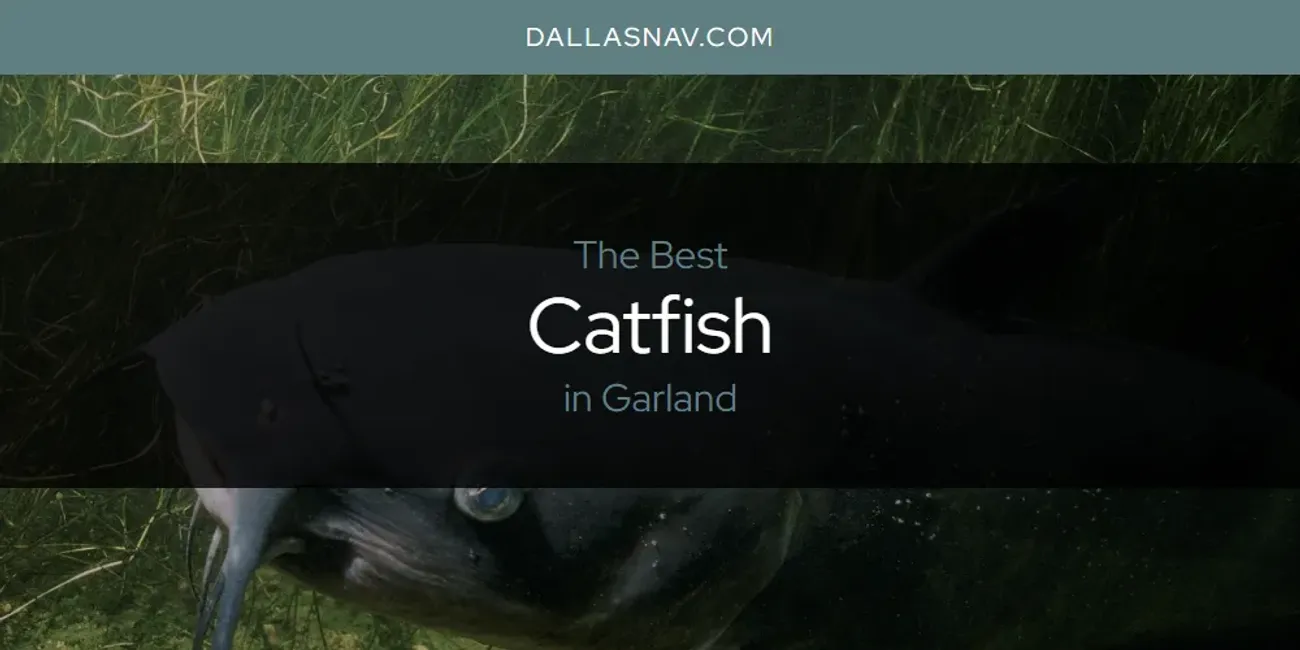 The Absolute Best Catfish in Garland  [Updated 2025]