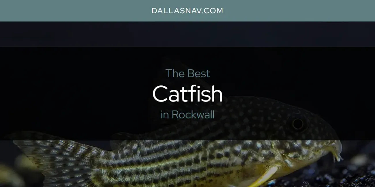 Rockwall's Best Catfish [Updated 2025]
