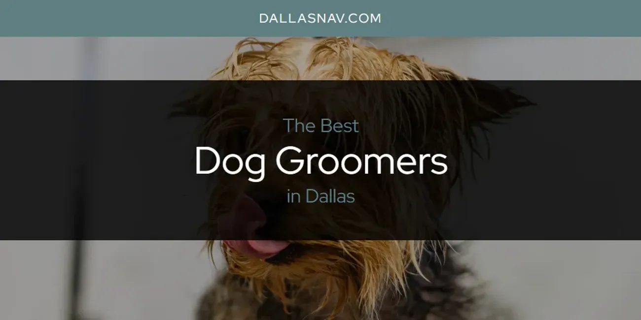 The Absolute Best Dog Groomers in Dallas [Updated 2024] Dallas Nav