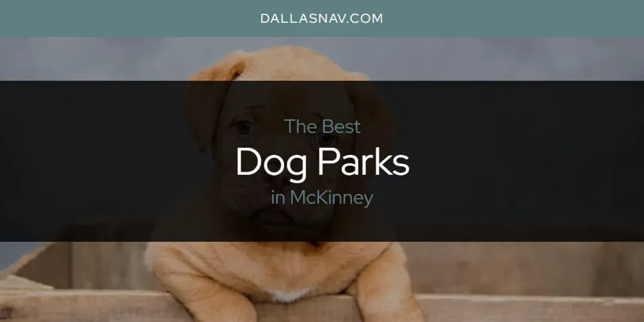 McKinney's Best Dog Parks [Updated 2025]