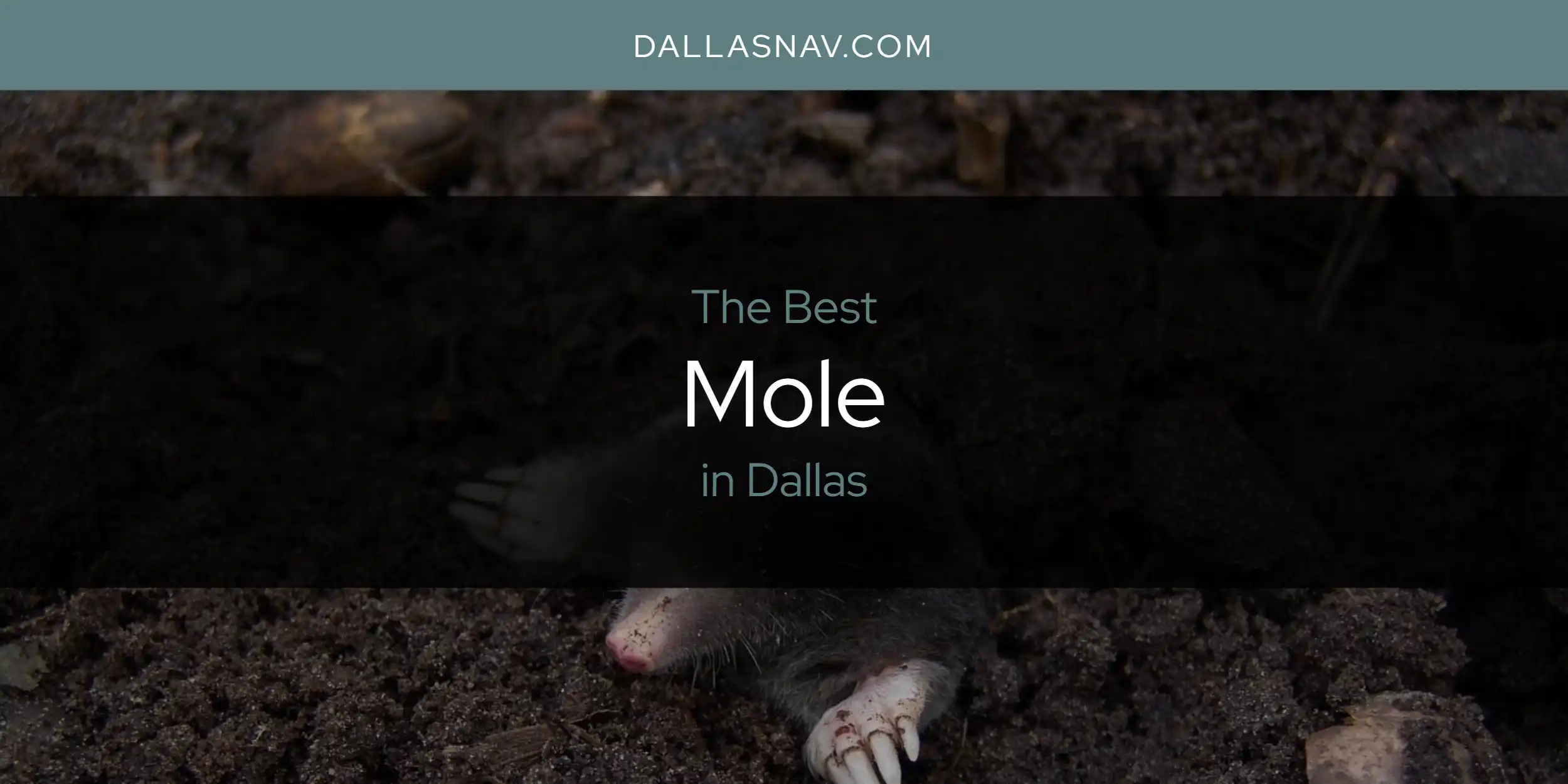 The Absolute Best Mole in Dallas  [Updated 2025]