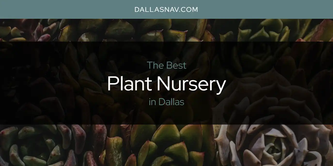 Plant Nursery Dallas.webp