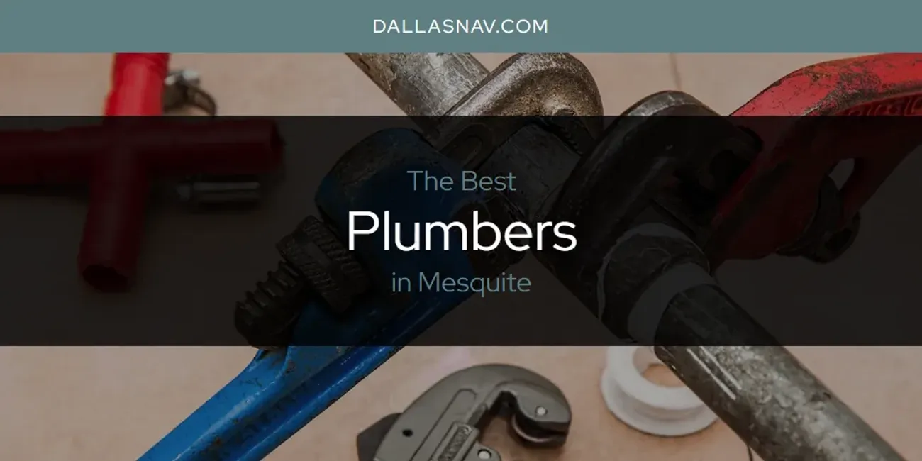 Mesquite's Best Plumbers [Updated 2025]