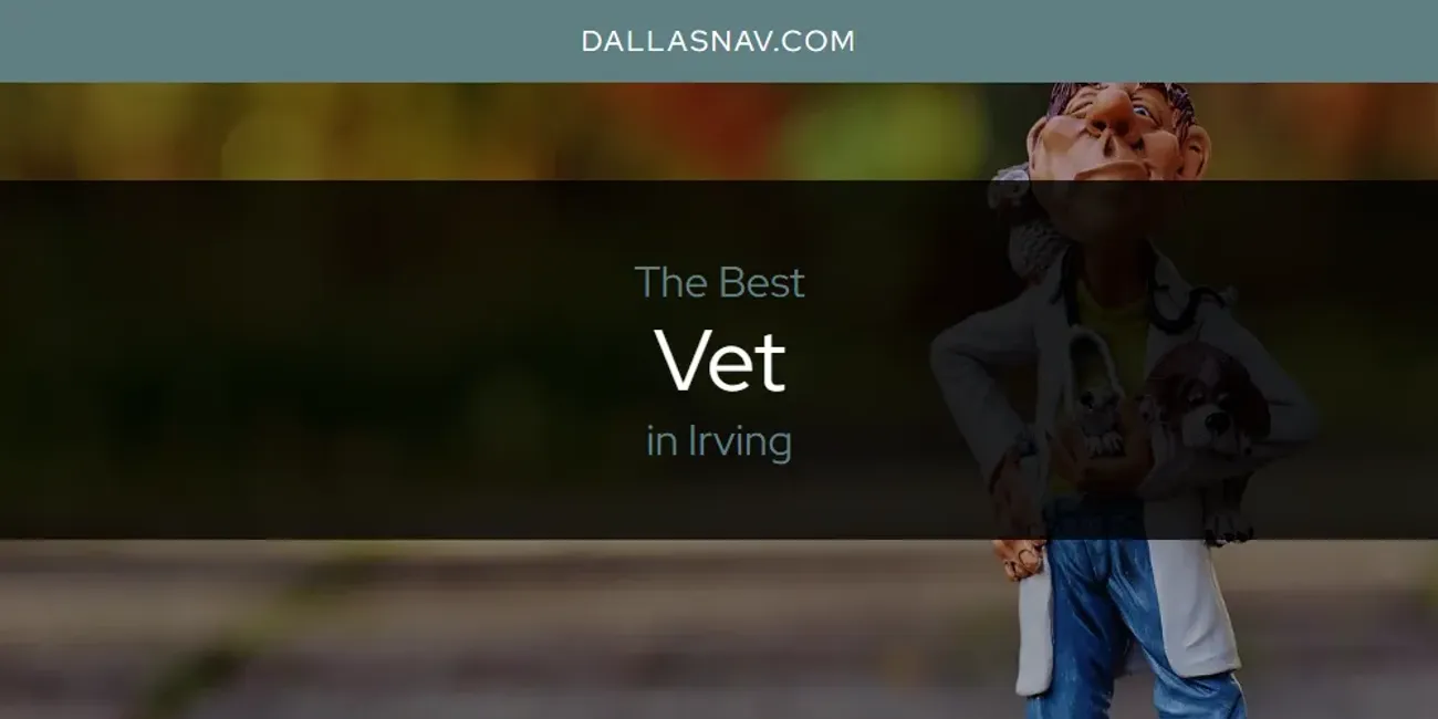 The Absolute Best Vet in Irving  [Updated 2025]
