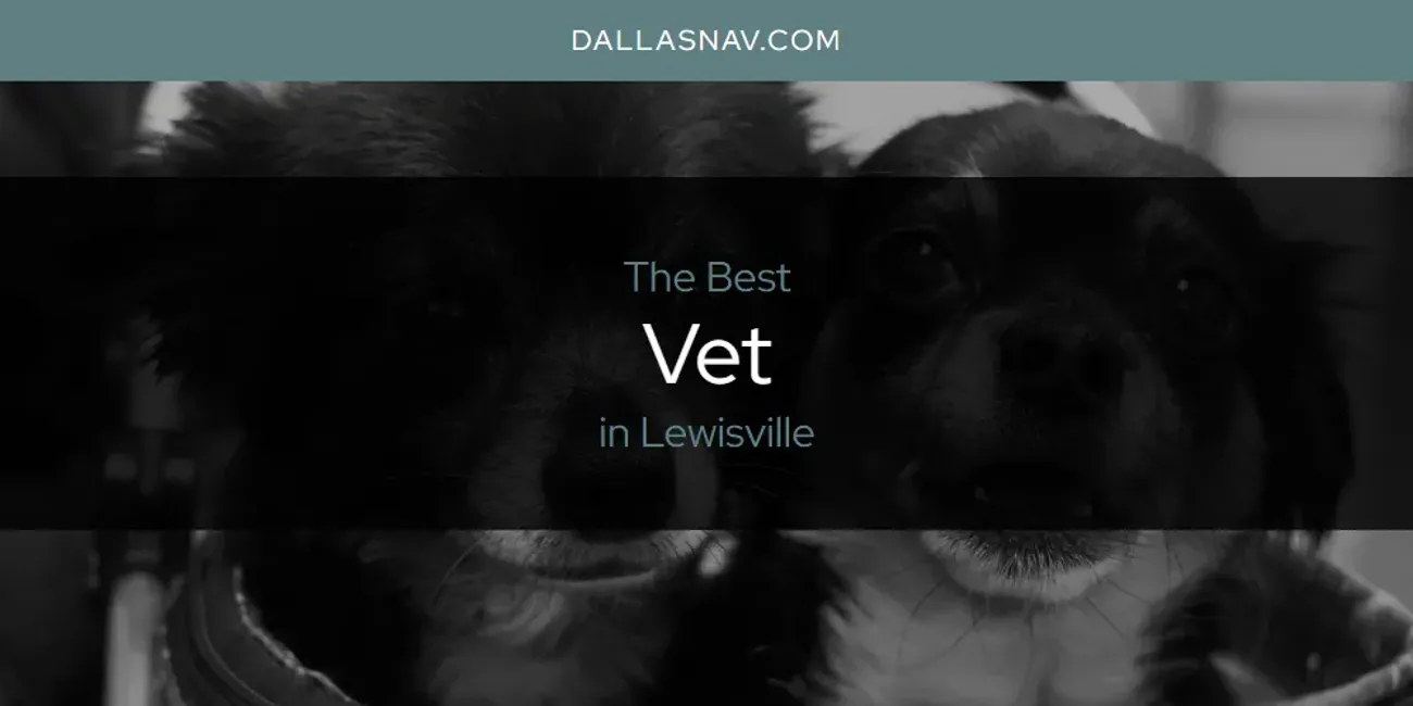 Lewisville's Best Vet [Updated 2025]