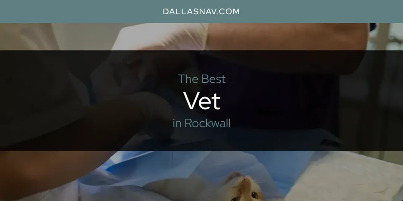 Rockwall's Best Vet [Updated 2025]